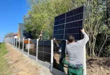 The Solar Panel Is Now a Fence Post: How China’s Price Crash Changed Everything